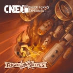 Chuck Norris Experiment - Right Between Your Eyes - Artwork